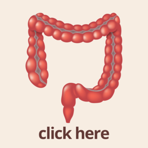 IBS therapy subspecialty. bowel_CTA